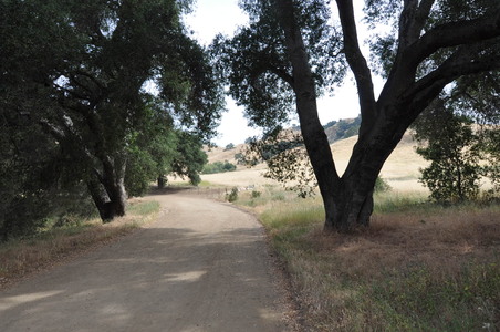 Enlarge photo 12