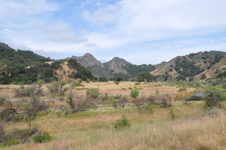 Enlarge photo 14