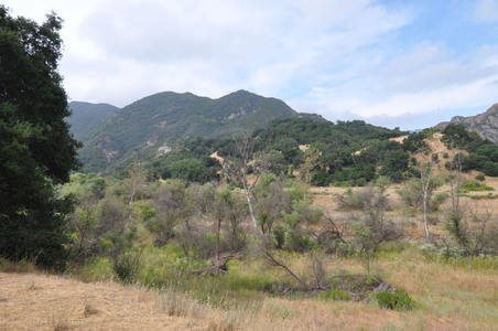Enlarge photo 15