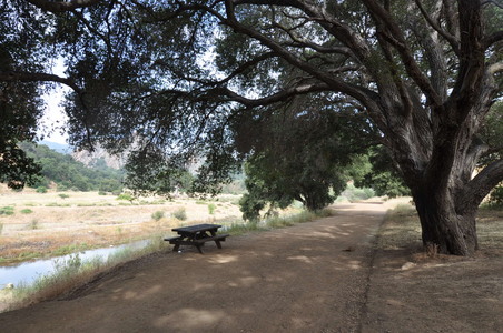 Enlarge photo 16