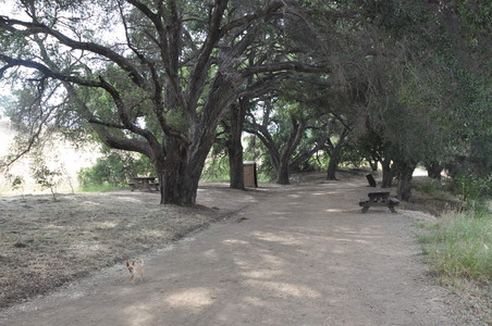 Enlarge photo 20