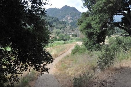 Enlarge photo 25