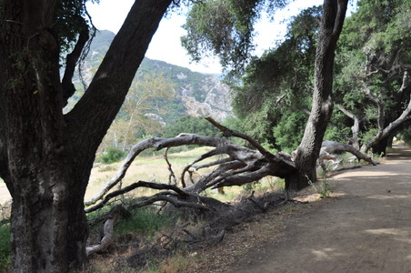 Enlarge photo 26