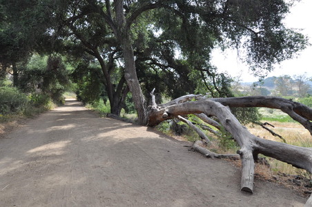 Enlarge photo 27