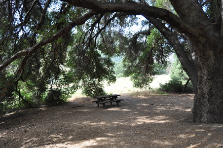 Enlarge photo 28