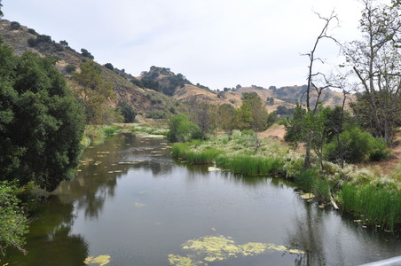 Enlarge photo 31