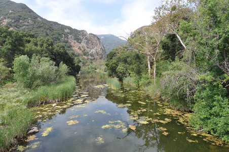 Enlarge photo 32