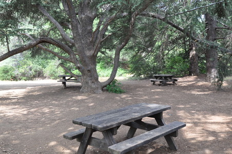 Enlarge photo 34