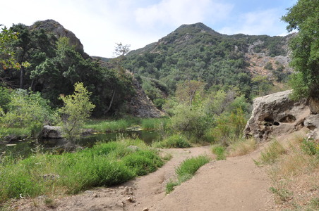 Enlarge photo 35