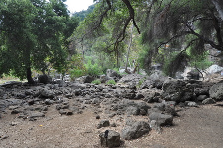 Enlarge photo 41