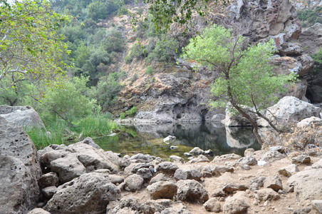 Enlarge photo 42