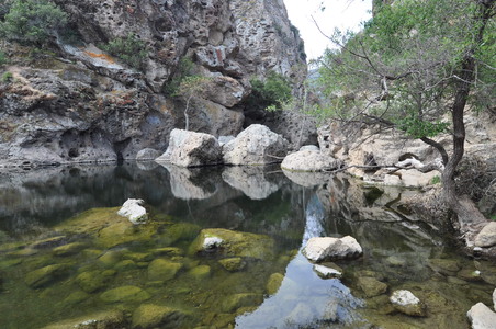 Enlarge photo 43