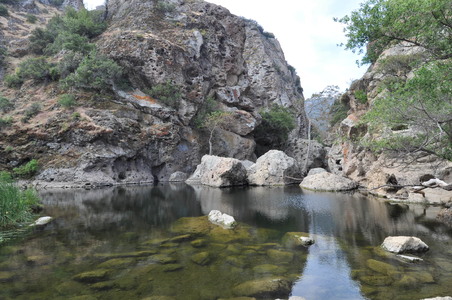 Enlarge photo 45