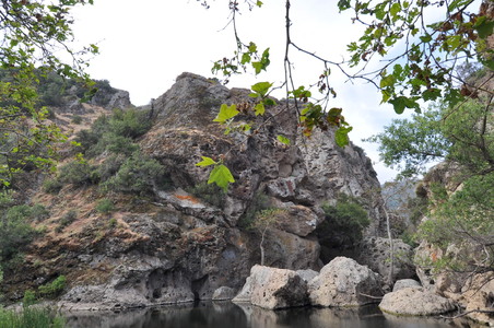 Enlarge photo 47
