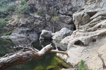 Enlarge photo 48