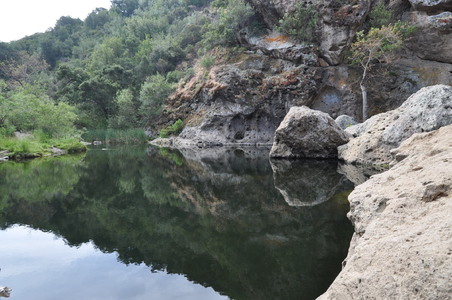 Enlarge photo 49