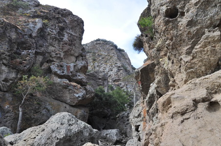 Enlarge photo 51