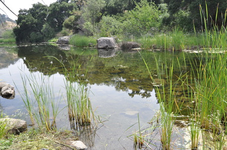 Enlarge photo 52