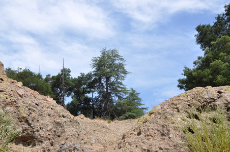 Enlarge photo 53