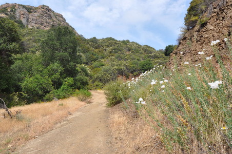 Enlarge photo 54