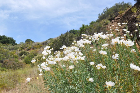 Enlarge photo 55