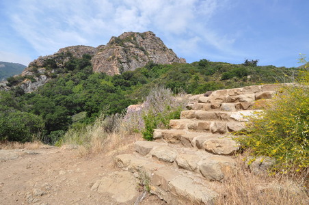 Enlarge photo 59