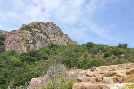 Enlarge photo 60