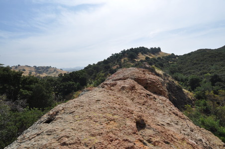 Enlarge photo 61