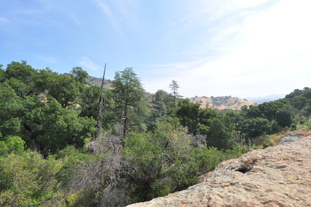 Enlarge photo 62