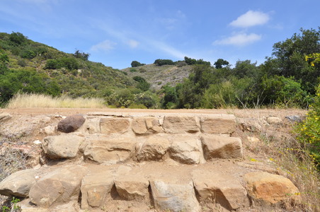 Enlarge photo 65