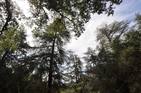 Enlarge photo 66