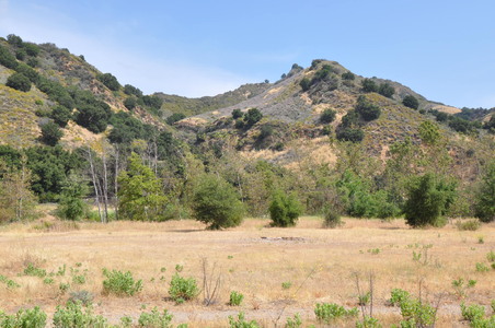 Enlarge photo 68