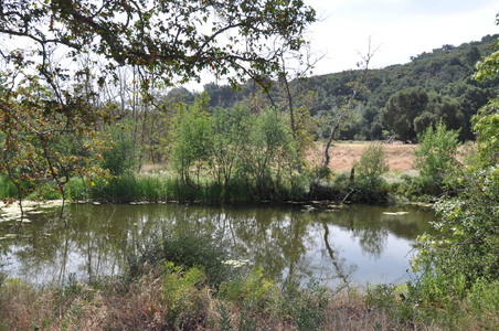 Enlarge photo 71
