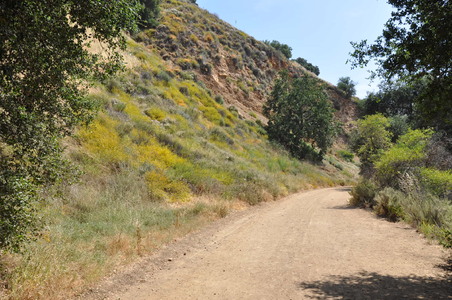 Enlarge photo 72