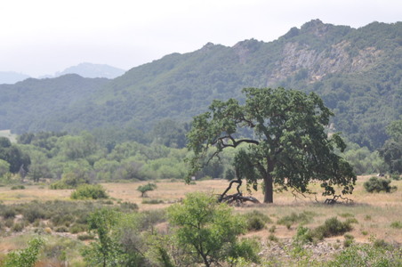 Enlarge photo 75