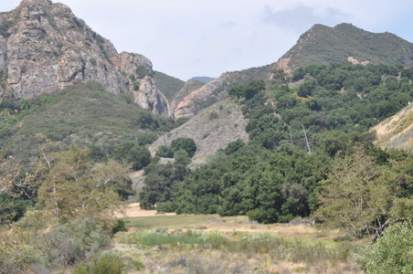 Enlarge photo 76
