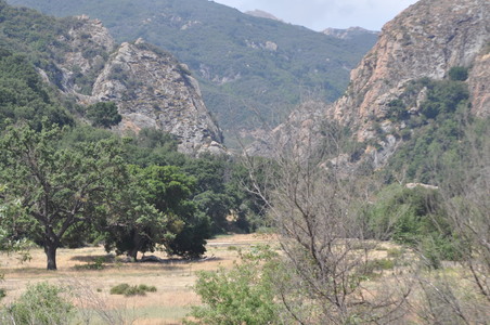 Enlarge photo 78