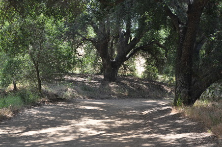 Enlarge photo 79