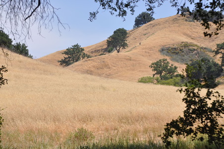 Enlarge photo 83