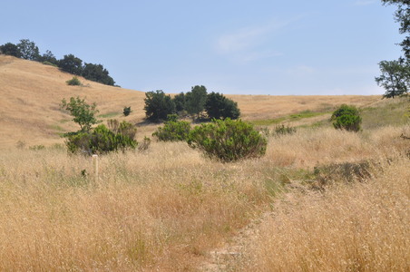 Enlarge photo 84