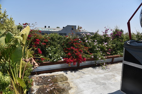 Enlarge photo 54