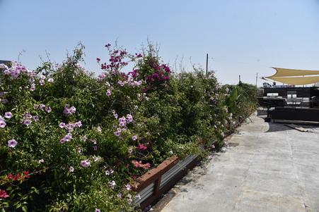 Enlarge photo 55