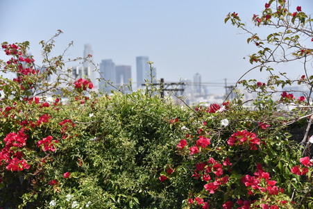 Enlarge photo 64