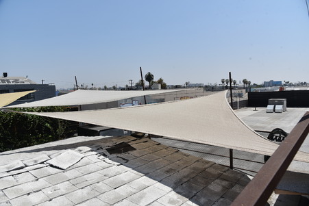 Enlarge photo 67