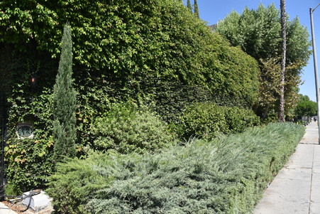 Kingsley_Manor_Ktown