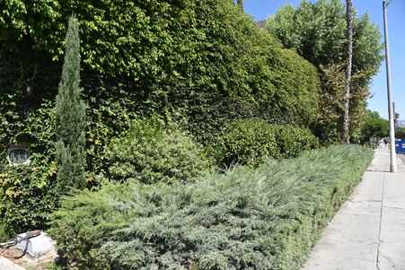 Enlarge photo 3