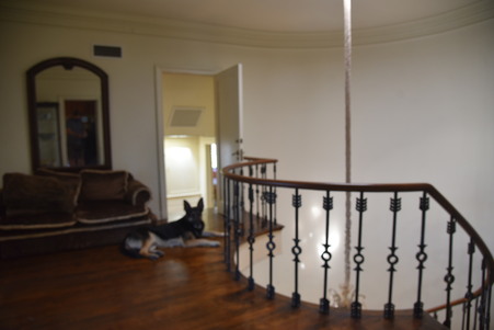 Enlarge photo 64