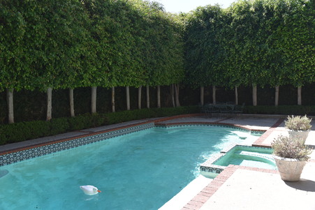 Enlarge photo 72