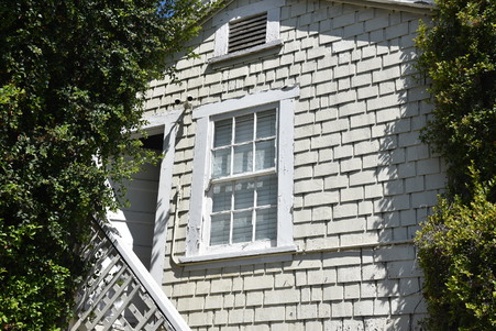 Enlarge photo 95