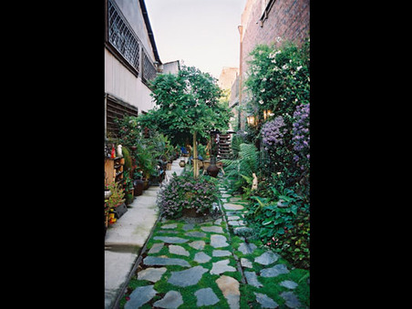 Enlarge photo 7